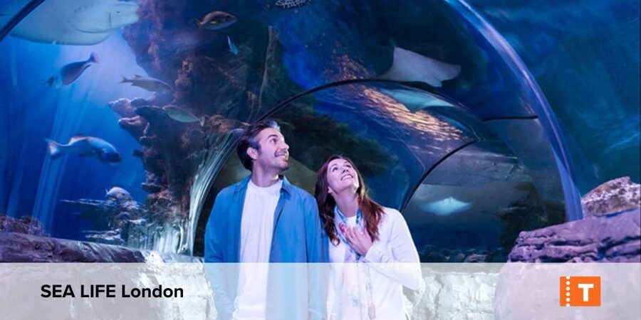 London City pass: Top attractions, Hop on Hop off & tours - Key points to know before buying