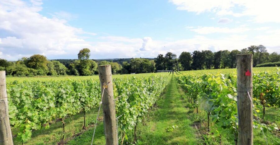 London: Full-Day English Wine Tour with Lunch - Meeting the minibus near London Bridge