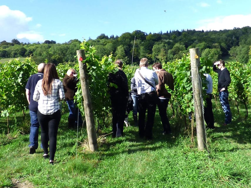 London: Full-Day English Wine Tour with Lunch - The third vineyard brings the afternoon together