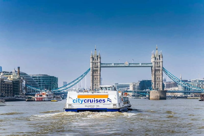 London: Fully Flexible River Thames Sightseeing Pass - Who should book this Thames cruise?