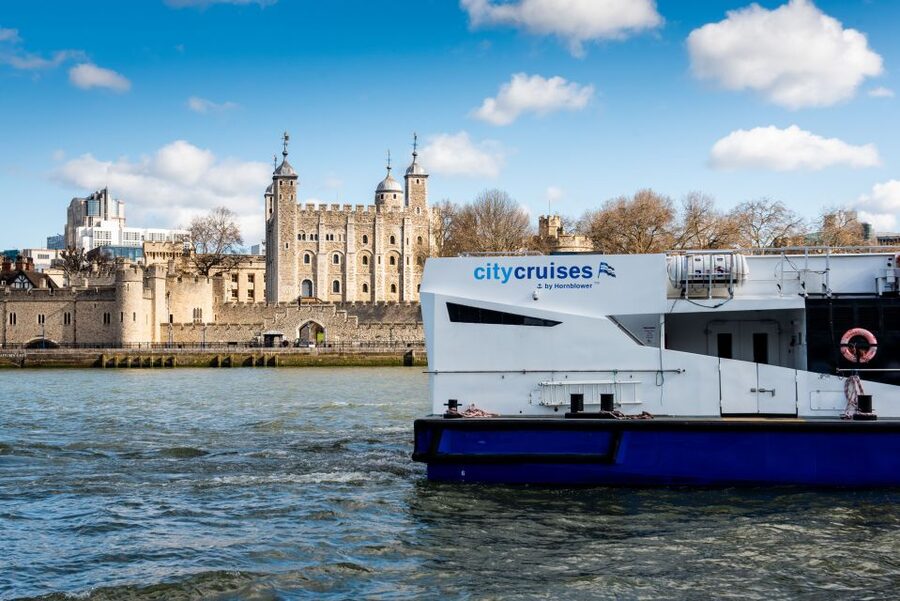 London: Harry Potter Walk, Hop-on Hop-off Bus Tour & Cruise - Why this London combination works
