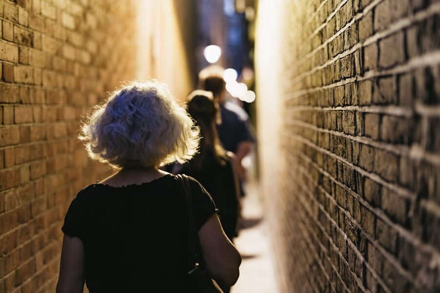 London: Harry Potter Walking Tour in German - What the guides add to the experience