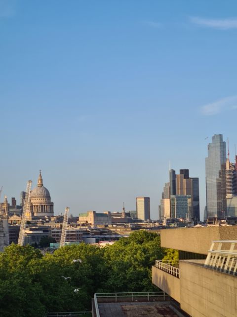 London: Highlights and Hidden Gems Private Guided Tour - What this London tour is really designed to do