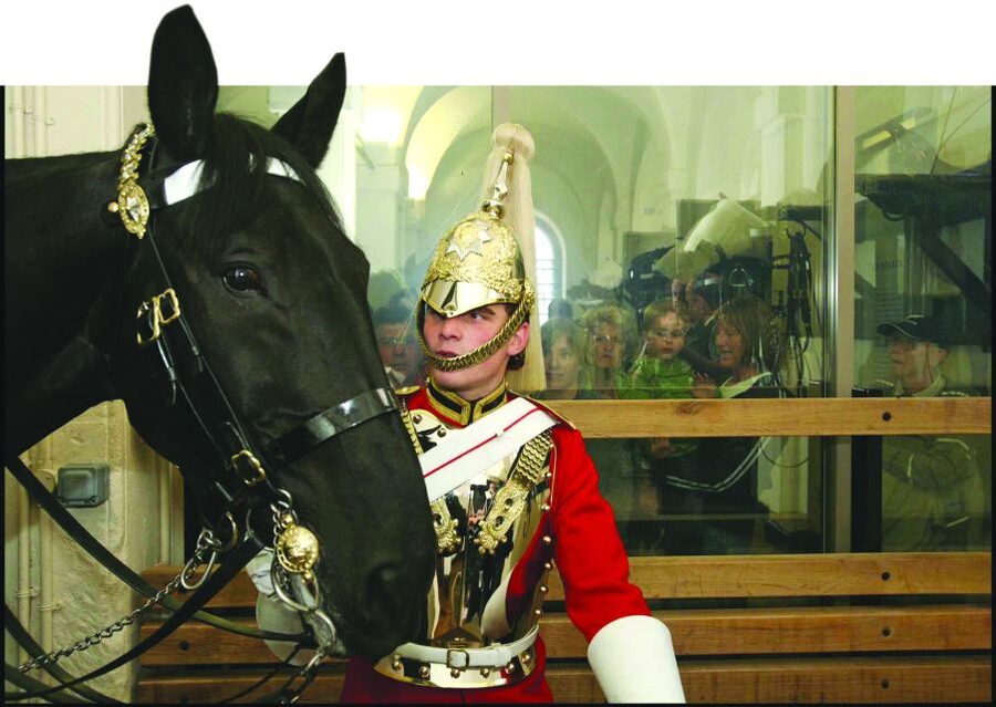 London: Household Cavalry Museum Entry Ticket - Is the $14 ticket good value?