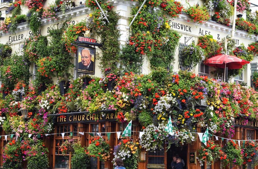 London: Kensington and Chelsea Guided Walking Tour - Key things to know before you book
