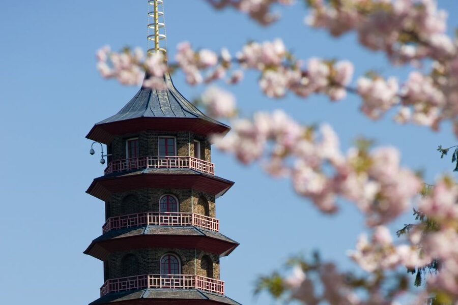 London: Kew Gardens Admission Ticket - Why Kew Gardens deserves a full day