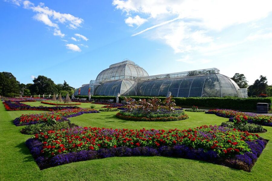 London: Kew Gardens Admission Ticket - Starting inside the glasshouses