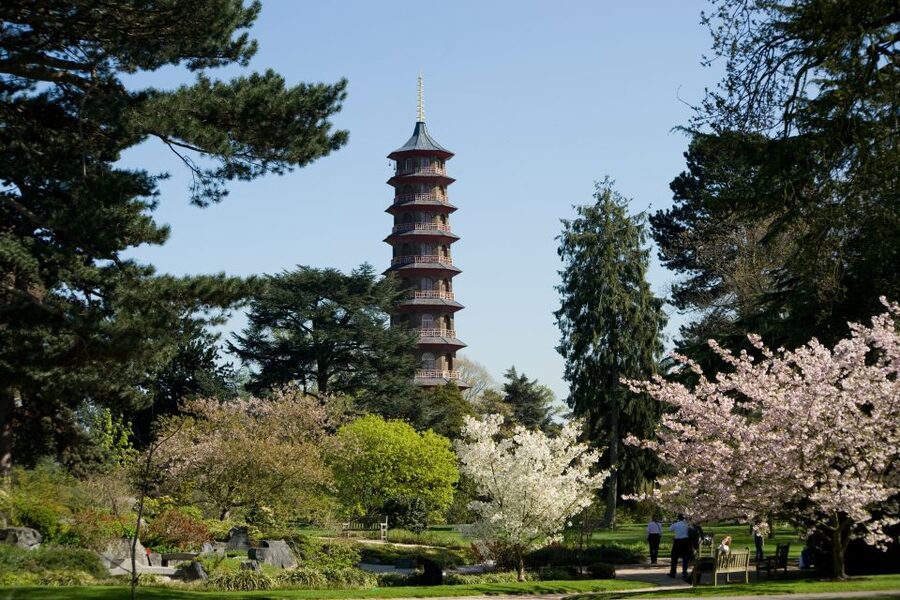 London: Kew Gardens Admission Ticket - Climbing above the trees