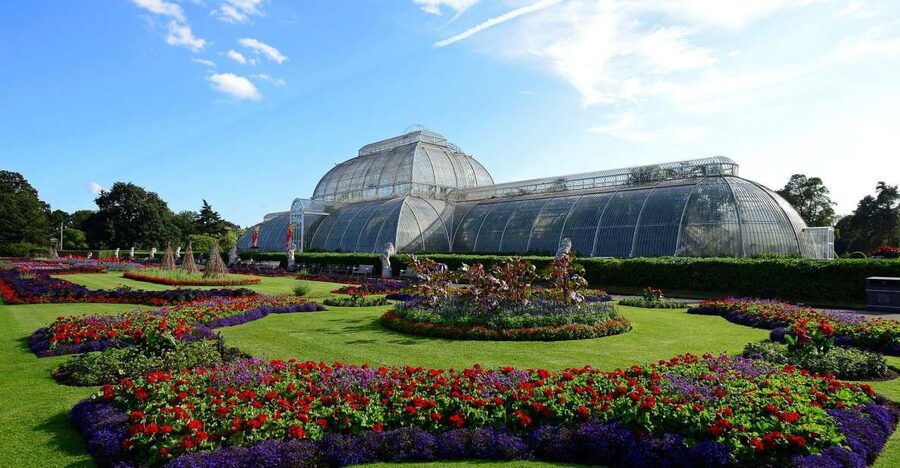 London: Kew Gardens Admission Ticket - Exploring Kew Palace and the historic buildings