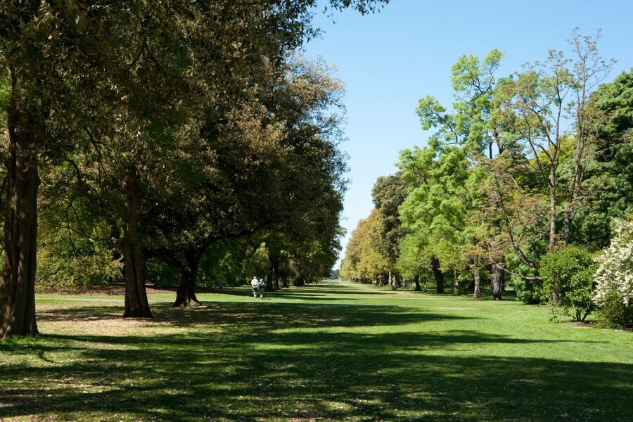 London: Kew Gardens Admission Ticket - The Arboretum, lakes, pagoda, and outdoor paths