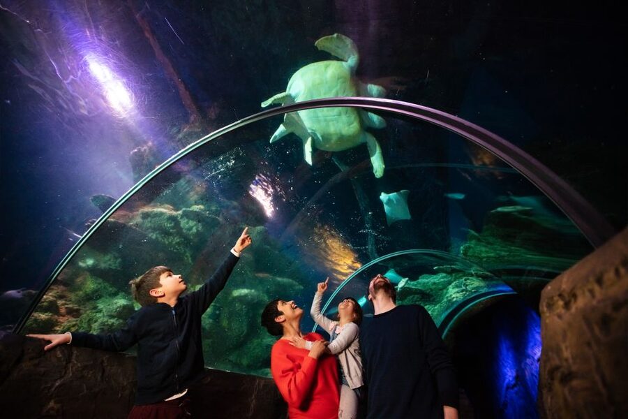 London: Madame Tussauds, London Eye & SEA LIFE Combo Ticket - Key points before you book