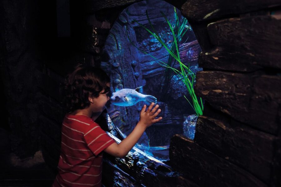 London: Madame Tussauds, London Eye & SEA LIFE Combo Ticket - Madame Tussauds: your best starting point