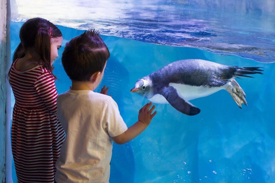 London: Madame Tussauds, SEA LIFE and London Dungeon Entry - Key points to know before booking