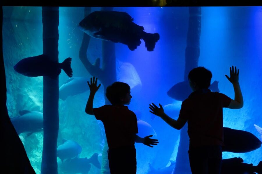 London: Madame Tussauds, SEA LIFE and London Dungeon Entry - What this London combination ticket really offers