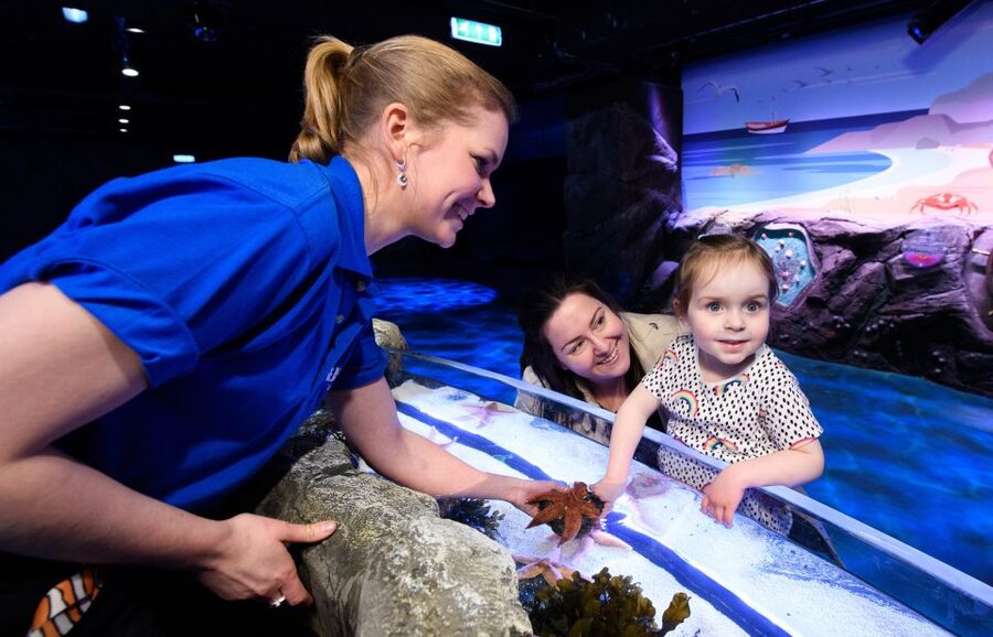 London: Madame Tussauds, SEA LIFE and London Dungeon Entry - How to plan the three attractions