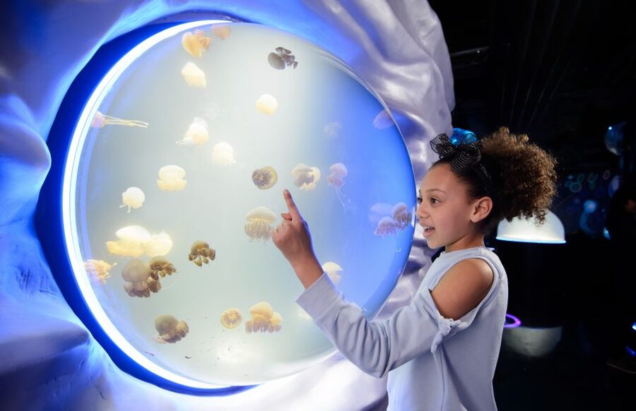 London: Madame Tussauds, SEA LIFE and London Dungeon Entry - Madame Tussauds: the star-filled first stop