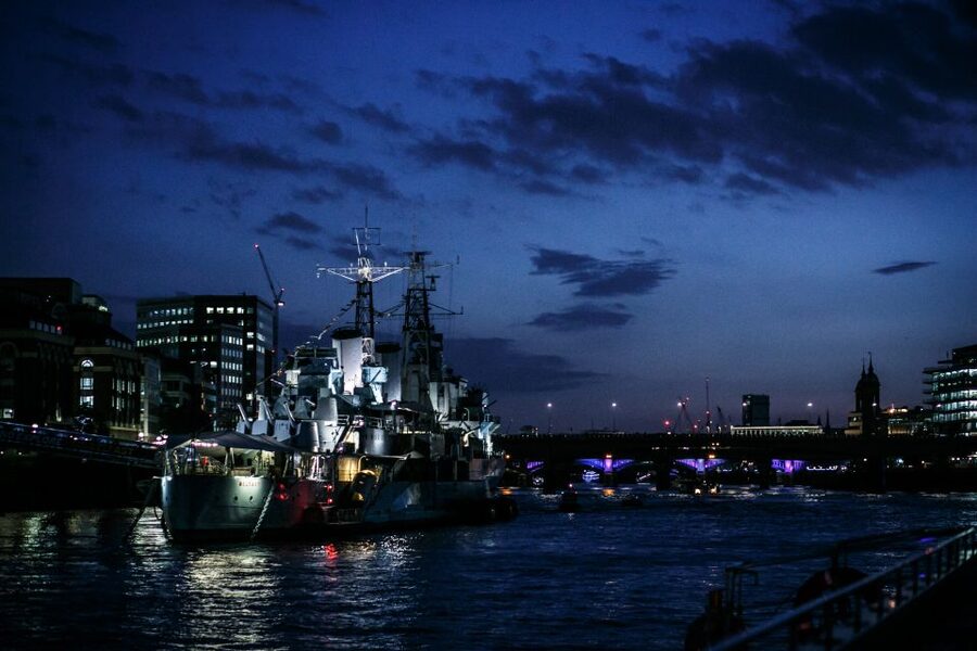 London: Murder Mystery Cruise With 3-Course Dinner - Staff, actors, and the evening atmosphere