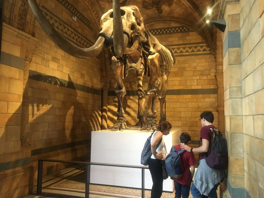 London: Natural History Museum Entry Ticket and Guided Tour - Key points to know before booking