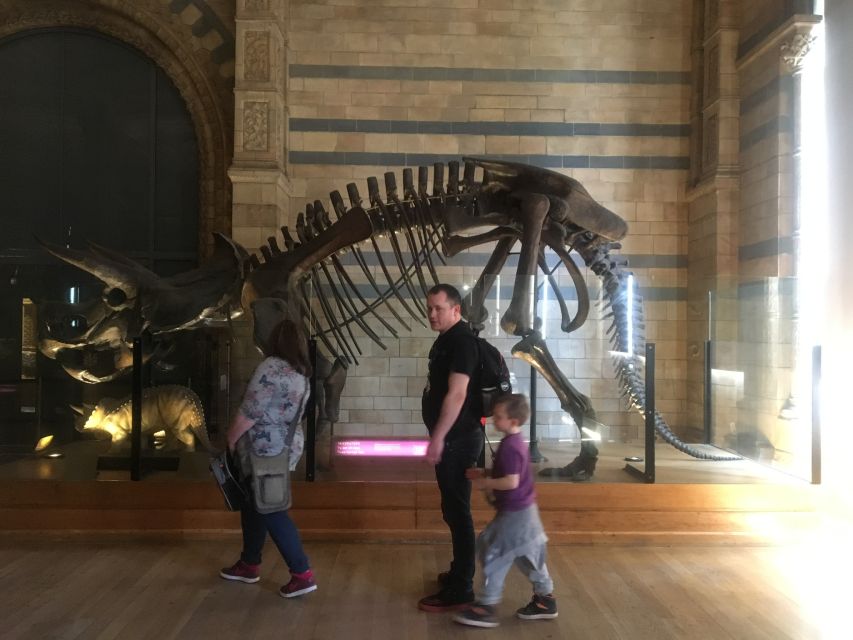 London: Natural History Museum Entry Ticket and Guided Tour - Hintze Hall and the 82-foot blue whale