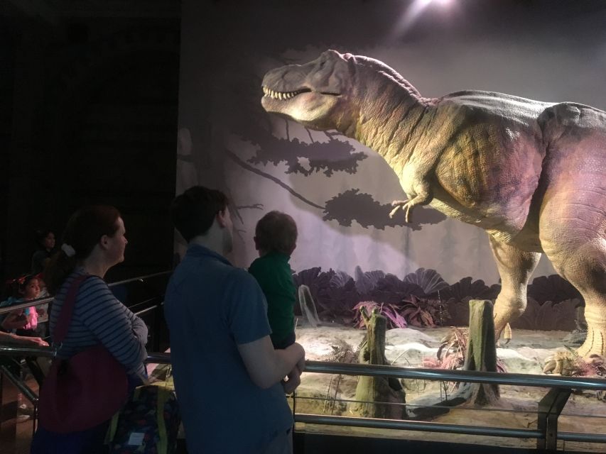 London: Natural History Museum Entry Ticket and Guided Tour - Butterflies and the Evolution gallery
