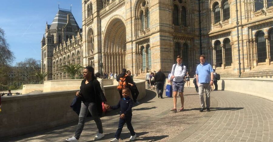 London: Natural History Museum Entry Ticket and Guided Tour - The Wildlife Garden and the living side of natural history