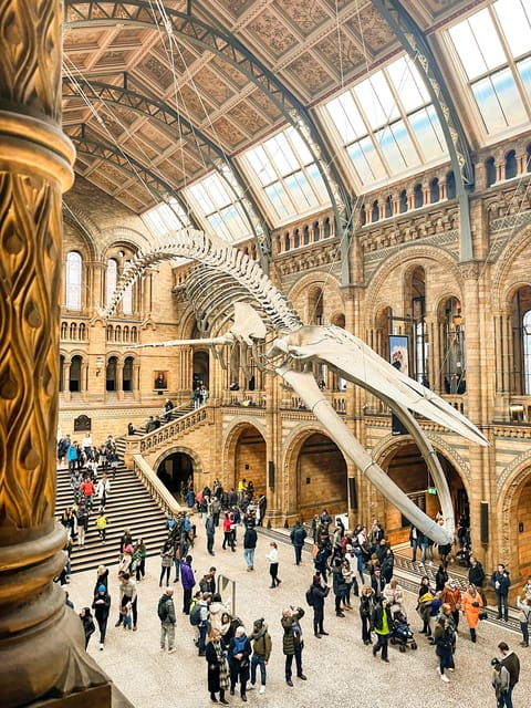 London: Natural History Museum Guided Tour - Key points to know before booking