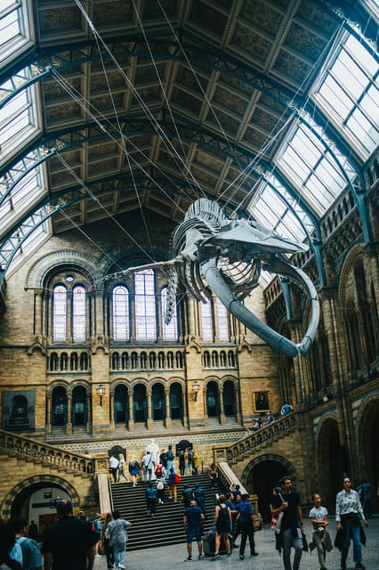 London: Natural History Museum Guided Tour - Why a guide helps inside this enormous museum