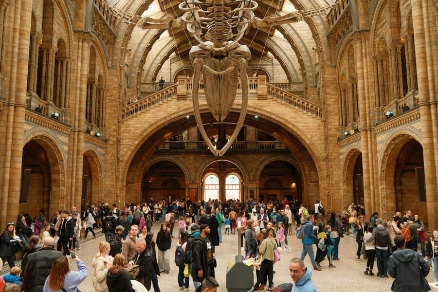 London: Natural History Museum Guided Tour - Meeting the Dodo and considering extinction
