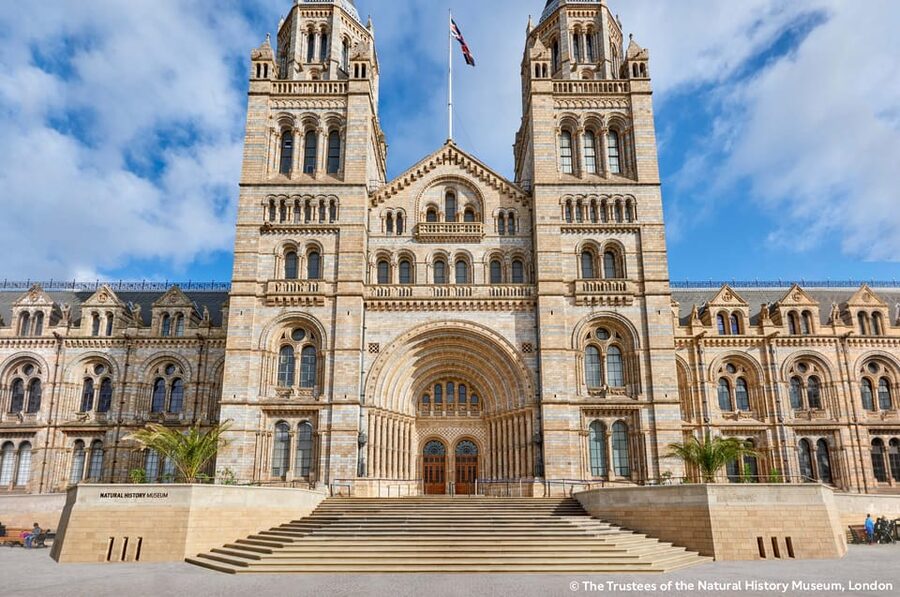 London: Natural History Museum Guided Tour & Afternoon Tea - Fern, the Diplodocus in the Evolution Gardens