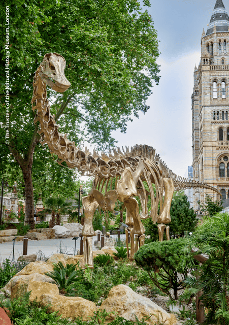 London: Natural History Museum Guided Tour & Afternoon Tea - Should You Book the Museum Tour and Tea?