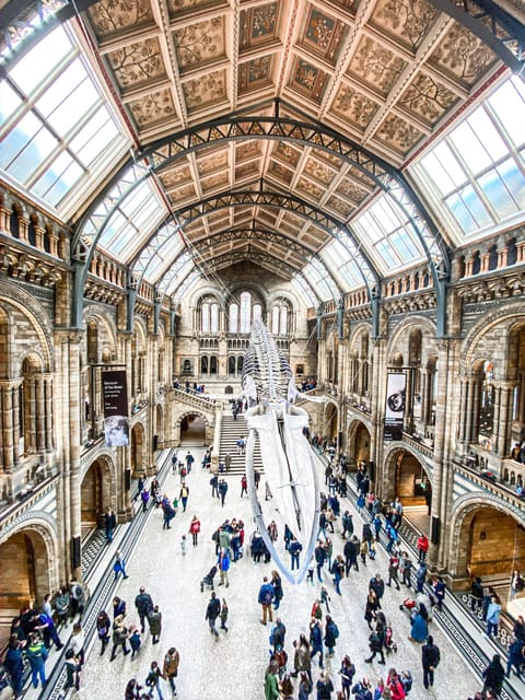 London: Natural History Museum Guided Tour - Starting with dinosaurs and ancient life