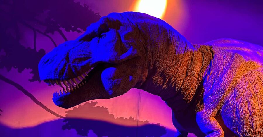 London: Natural History Museum Private Guided Tour - Stairs, lifts, and practical comfort