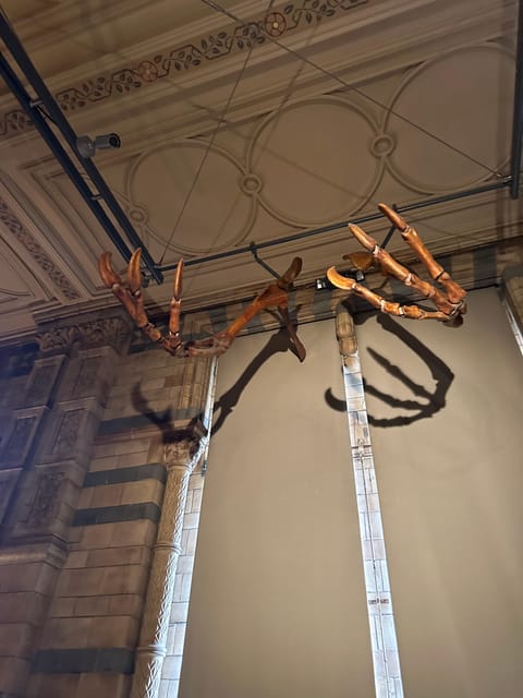 London: Natural History Museum Private Guided Tour - Why a private two-hour visit works well