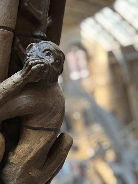 London: Natural History Museum Private Guided Tour - Meeting scientists through their ideas