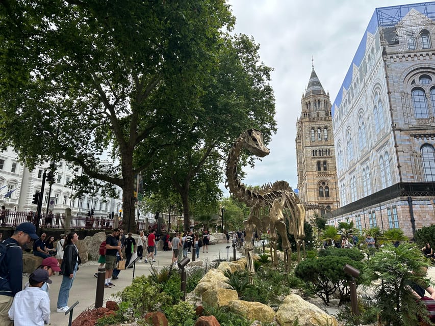 London: Natural History Museum Private Guided Tour - Hope the blue whale and the scale of life