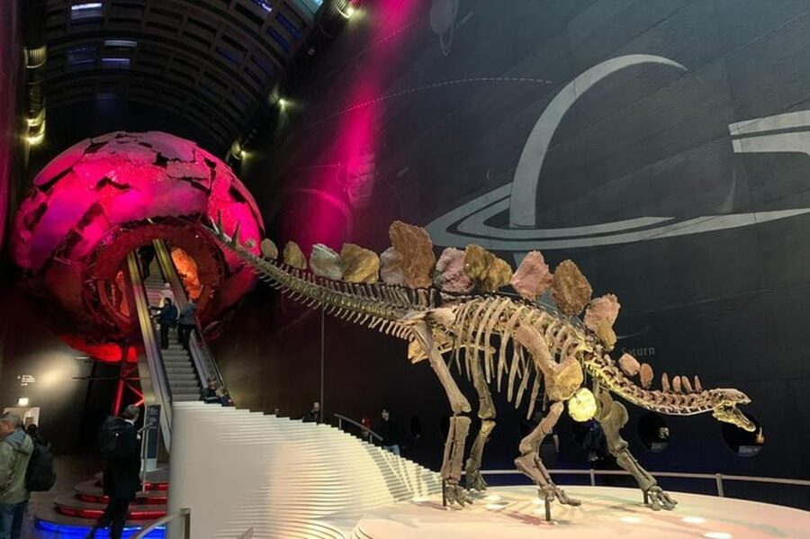 London: Natural History Museum Private Tour & Skip the line - Why this two-hour museum visit works