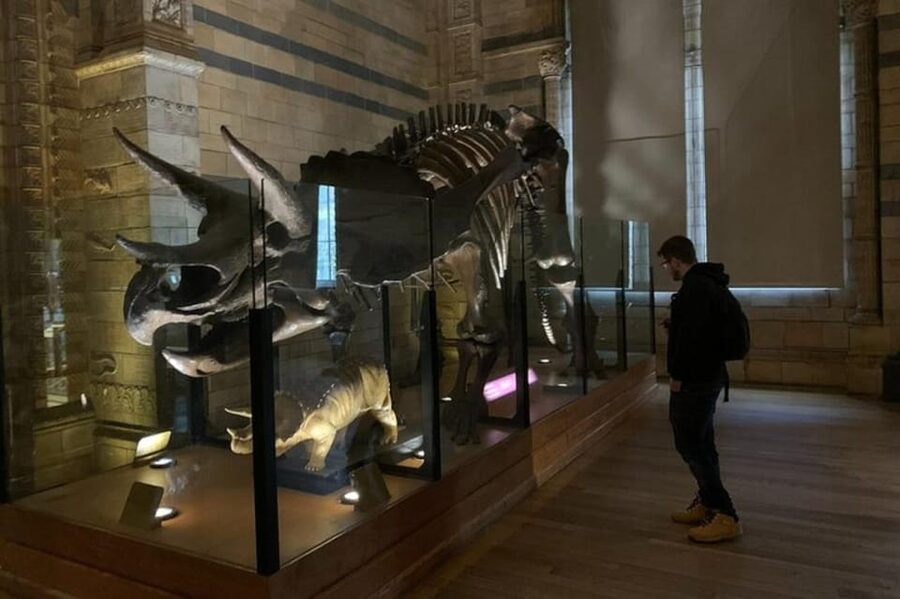London: Natural History Museum Private Tour & Skip the line - Entering through the separate access point