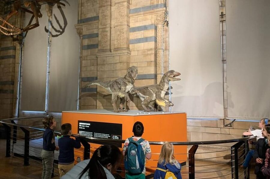 London: Natural History Museum Private Tour & Skip the line - Dinosaurs, fossils, and the museum’s main stars