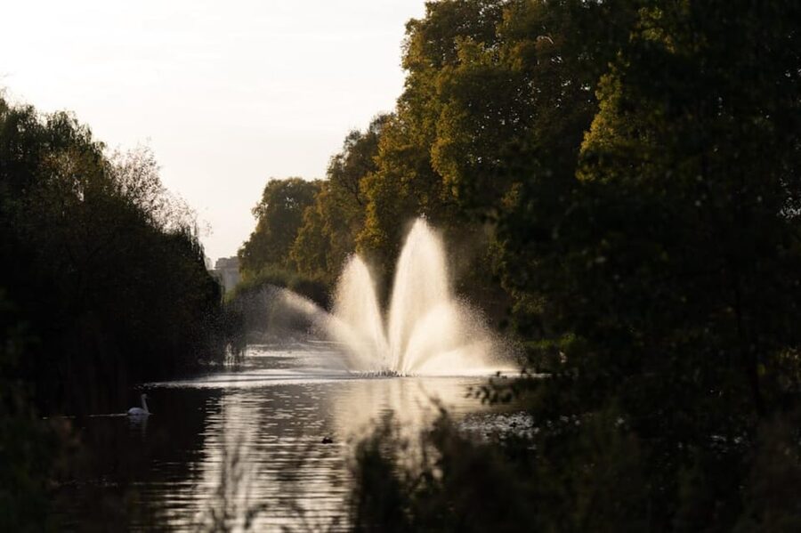 London: Private Royal Walking Tour with a Local Guide - Buckingham Palace and the chance of ceremony