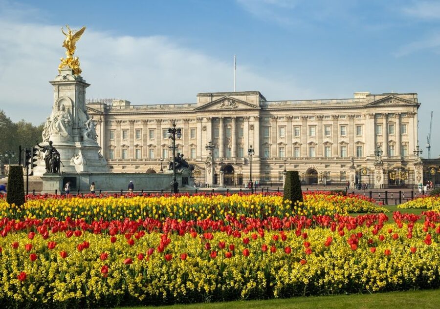 London: Private Walking Tour in Spanish - St. James’s Park and Buckingham Palace
