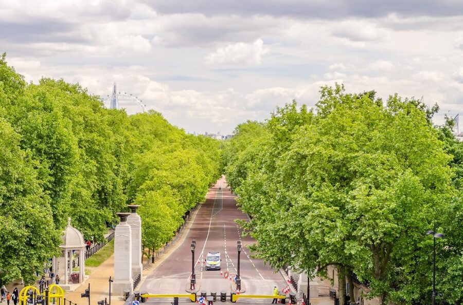 London Royal Tour - Buckingham Palace Entry - 12 guests 2,5h - Entering the State Rooms at Buckingham Palace