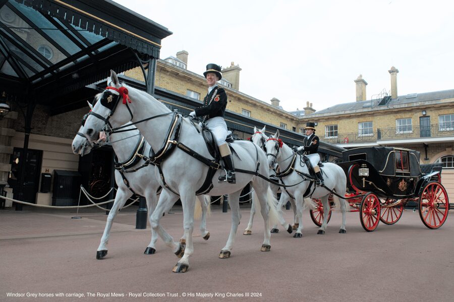 London: Royal Walking Tour with Guard Change & Royal Mews - The Mall and the route of royal ceremony