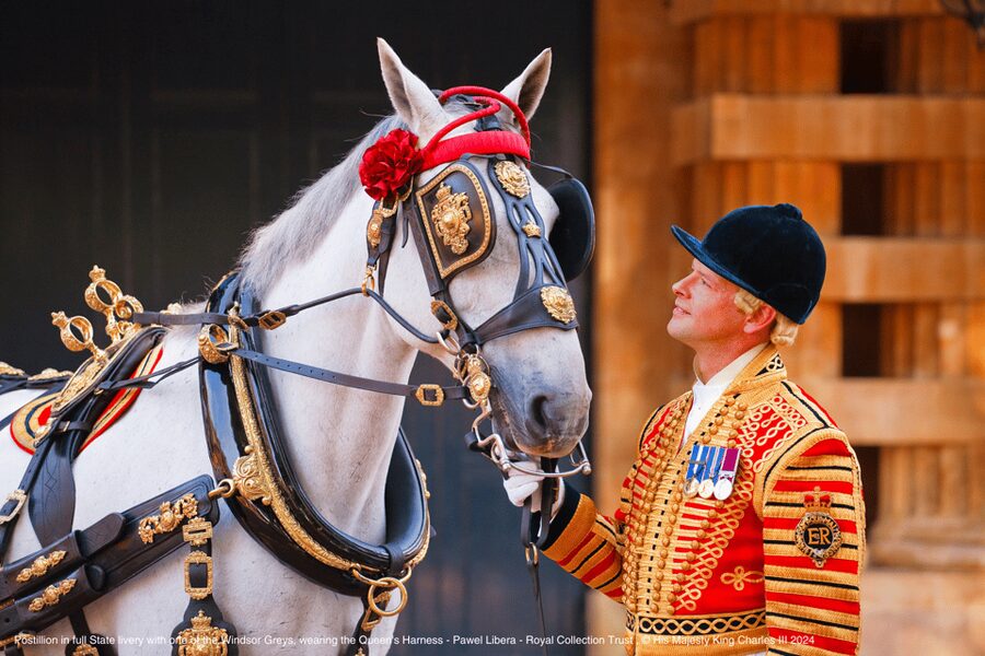 London: Royal Walking Tour with Guard Change & Royal Mews - Entering Buckingham Palace State Rooms