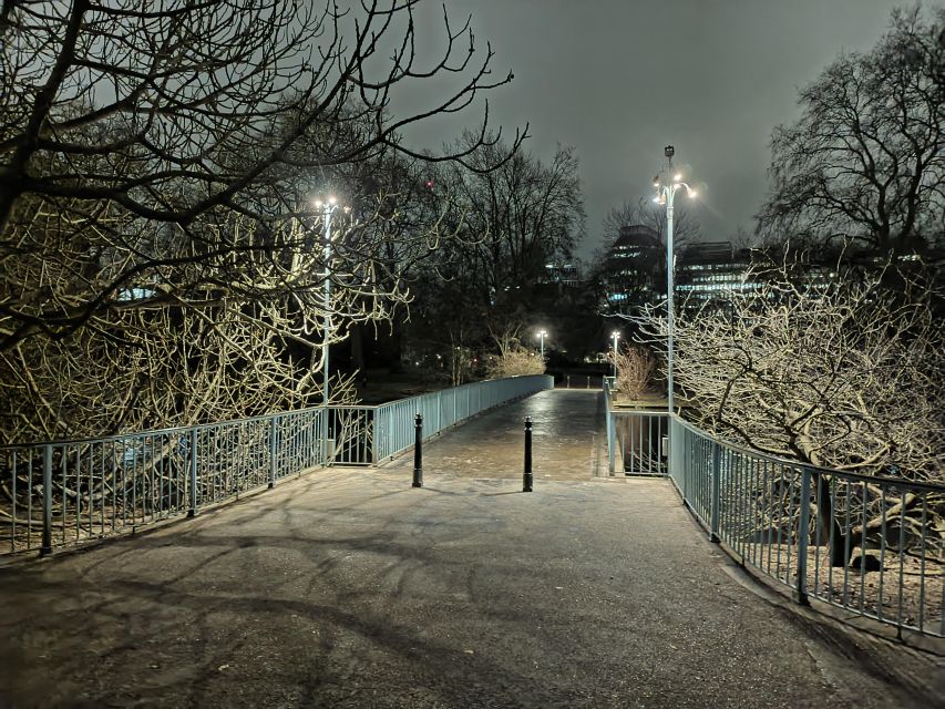 London : Royal Westminster By Night Walking Tour - The Guide Makes the Difference