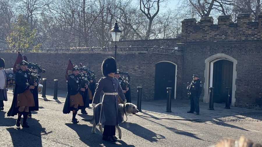 London’s Royal Family and Changing of the Guard Tour - St. James’s Park and a welcome pause