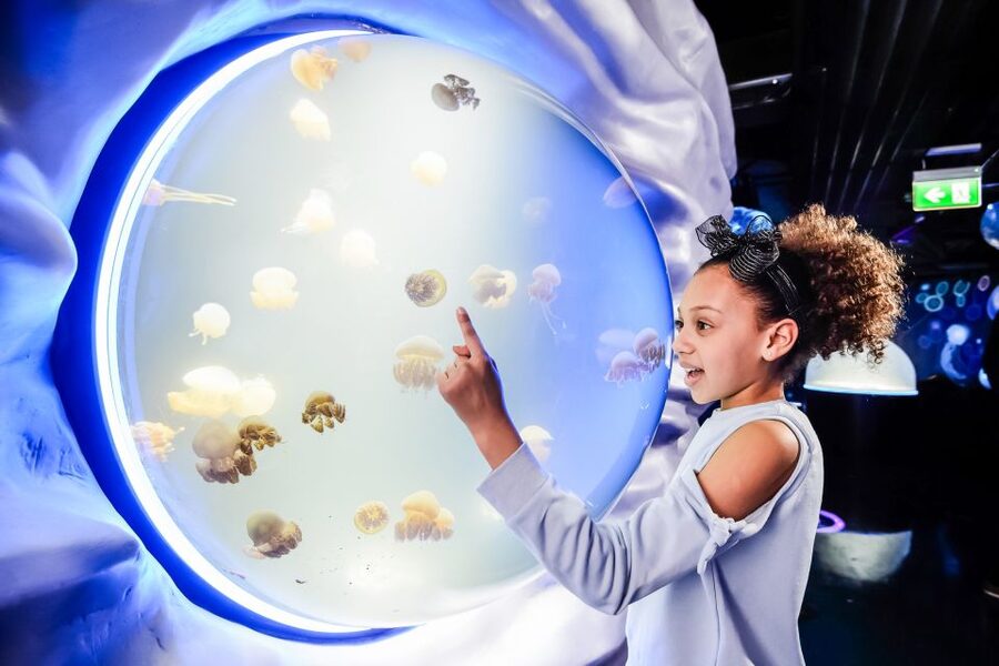 London: SEA LIFE Entry Ticket - Key things to know before you go