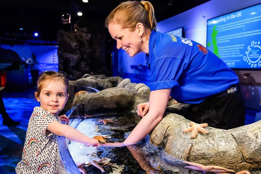London: SEA LIFE Entry Ticket - The shark platform is the visit’s best moment