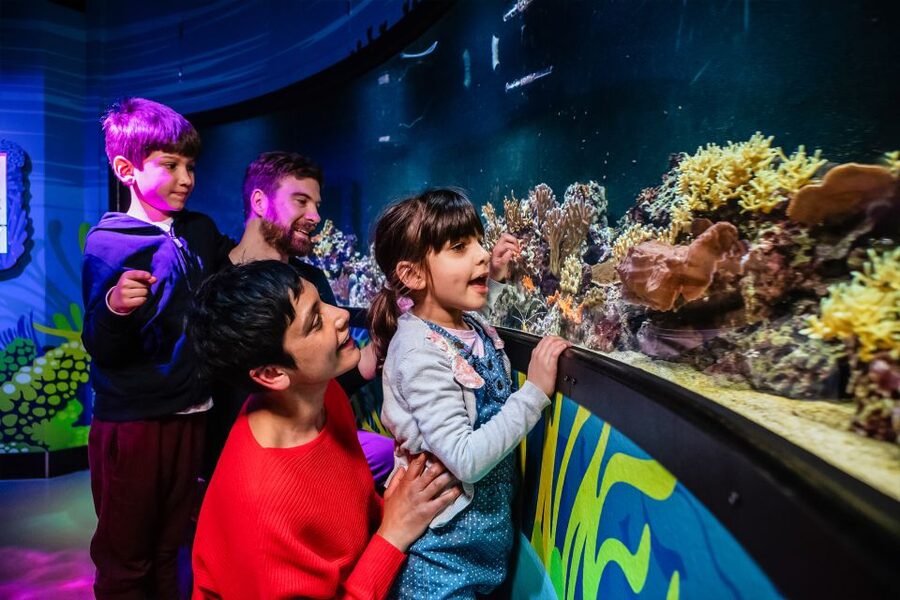 London: SEA LIFE Entry Ticket - Rainforest Adventure brings the Amazon indoors