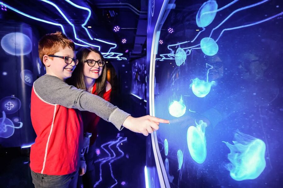 London: SEA LIFE Entry Ticket - How long should you allow?