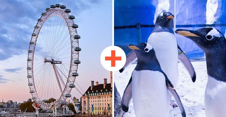 London: SEA LIFE & London Eye Combo Ticket - Flexible booking, cancellation, and validity